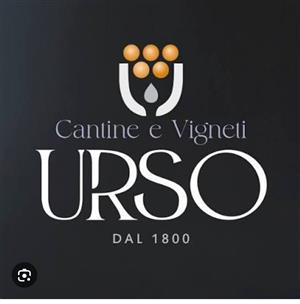 Cantine urso